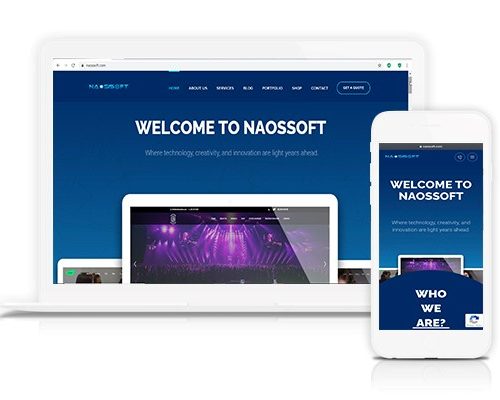 Naossoft website feature image